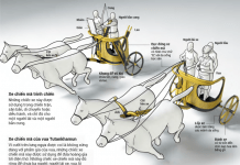 Kinh Thánh Trực Quan