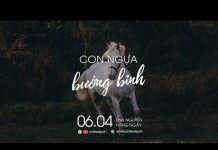 Con Ngựa Bướng Bỉnh | Oneway Radio – Tĩnh Nguyện Hằng Ngày 06/04/2022