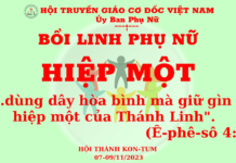 Chương Trình Bồi Linh Phụ Nữ (VCM)