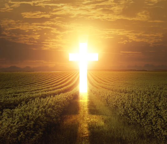 Thơ “Điều Chắc Chăn”