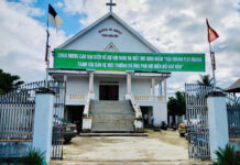 Gia Lai: Mô Hình Trồng Cây Bóng Mát, Giữ Gìn Và Bảo Vệ Môi Trường Xanh Sạch Đẹp