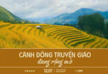 Cánh Đồng Truyền Giáo Đang Rộng Mở | Oneway Radio – Tĩnh Nguyện Hằng Ngày 12/07/2025