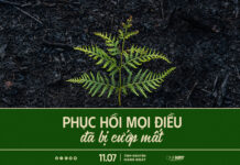 Phục Hồi Mọi Điều Đã Bị Cướp Mất | Oneway Radio – Tĩnh Nguyện Hằng Ngày 11/07/2025