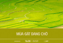 Mùa Gặt Đang Chờ | Oneway Radio – Tĩnh Nguyện Hằng Ngày 16/08/2025