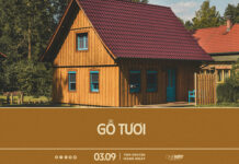 Gỗ Tươi | Oneway Radio – Tĩnh Nguyện Hằng Ngày 03/09/2025