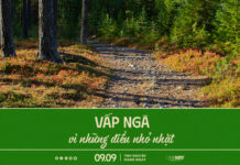 Vấp Ngã Vì Những Điều Nhỏ Nhặt | Oneway Radio – Tĩnh Nguyện Hằng Ngày 09/09/2025