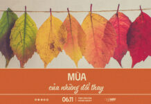 Mùa Của Những Đổi Thay | Oneway Radio – Tĩnh Nguyện Hằng Ngày 06/11/2025