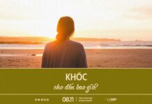 Khóc Cho Đến Bao Giờ? | Oneway Radio – Tĩnh Nguyện Hằng Ngày 08/11/2025