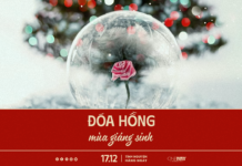 Đóa Hồng Mùa Giáng Sinh | Oneway Radio – Tĩnh Nguyện Hằng Ngày 17/12/2025