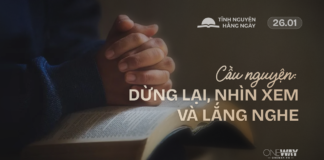 Cầu Nguyện: Dừng Lại, Nhìn Xem Và Lắng Nghe | Oneway Radio – Tĩnh Nguyện Hằng Ngày 26/01/2026