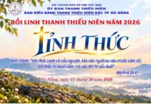 Đà Nẵng, Bồi Linh Thanh Thiếu Niên Khu Vực Bắc Thành Phố
