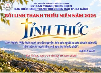Đà Nẵng, Bồi Linh Thanh Thiếu Niên Khu Vực Bắc Thành Phố